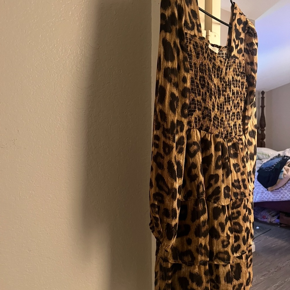 Leopard Print Sleeve Dress